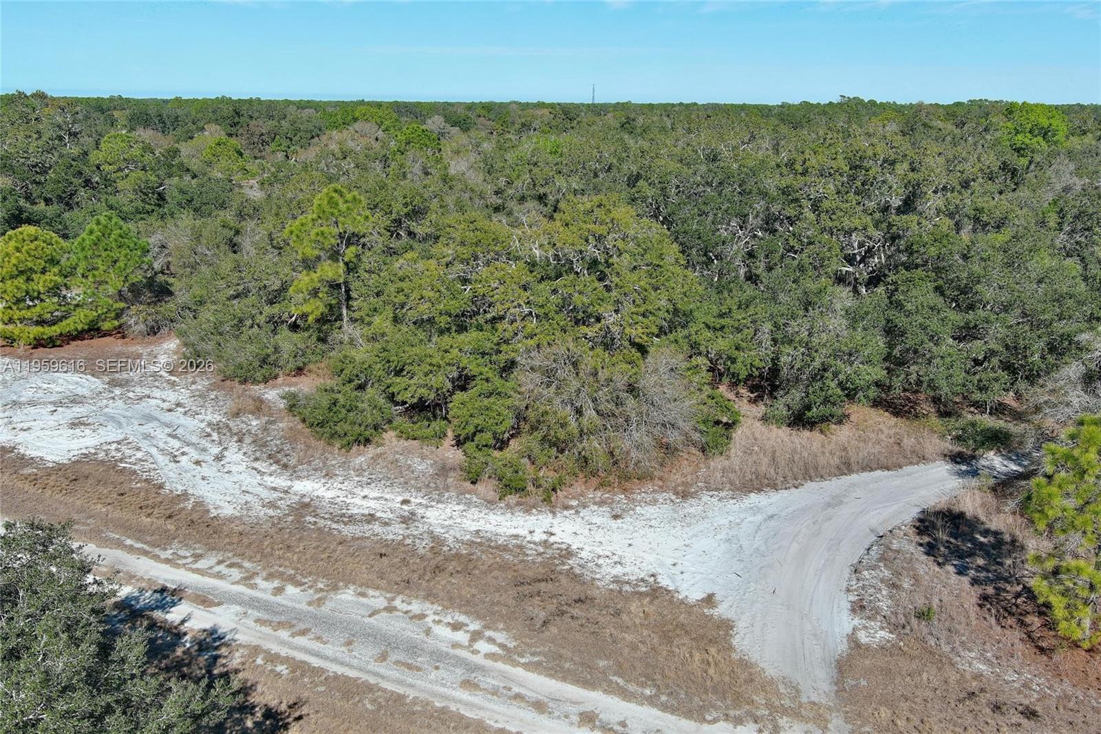 An aerial view shows a dirt path winding through a sandy, wooded lot — 0 Ames Ave, North Port FL 34291, NORTH PORT, FL