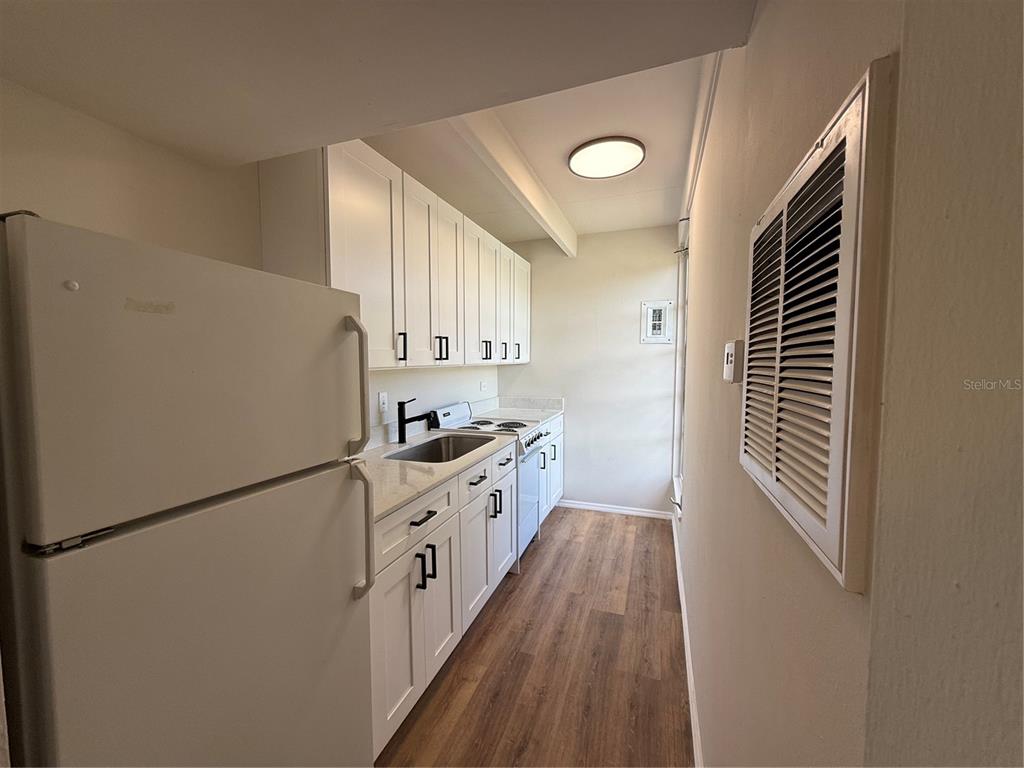 A galley kitchen features white cabinets, light countertops, stainless steel appliances, and wood-look flooring — 3421 CLUB CIRCLE, LAKESHORE, FL