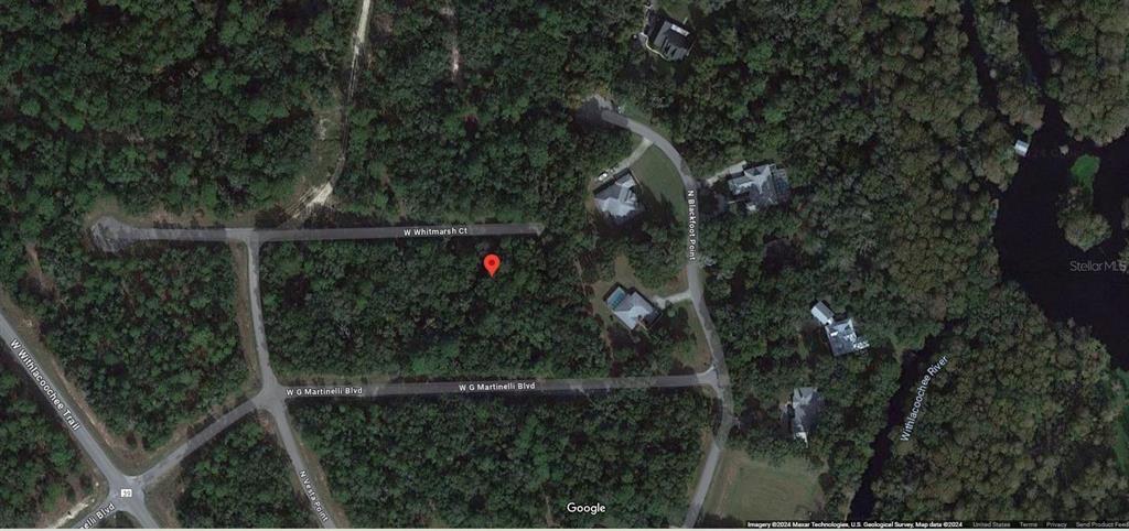 This is a satellite map view of a wooded residential lot marked with a pin — 282 W WHITMARSH COURT, DUNNELLON, FL