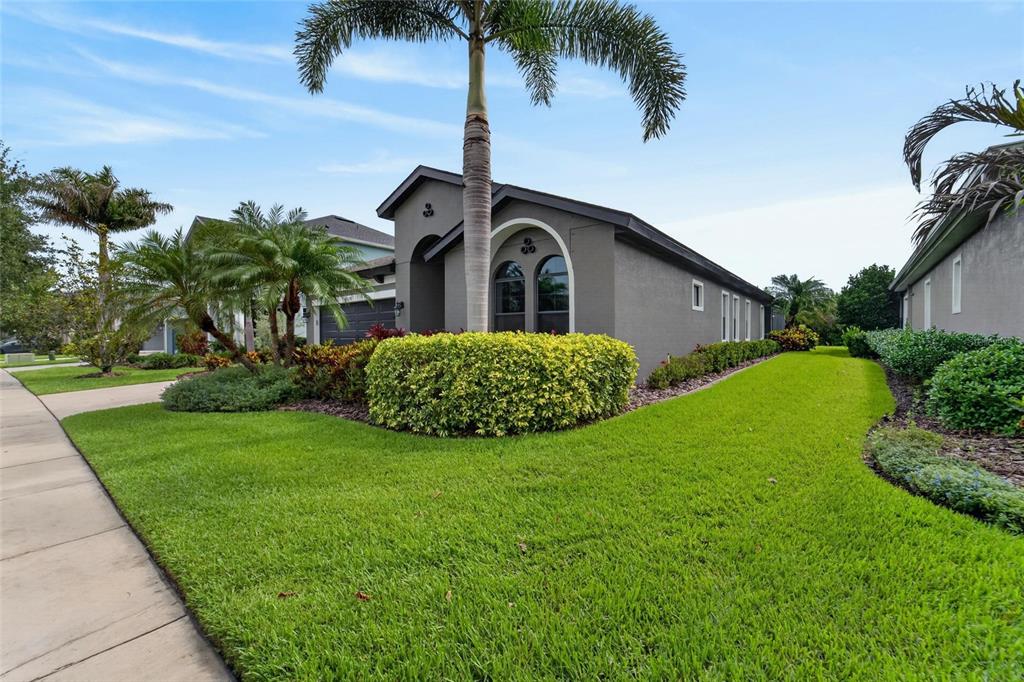 A gray single-story house with a palm tree and manicured lawn in the front yard — 7020 OLD BENTON DRIVE, APOLLO BEACH, FL