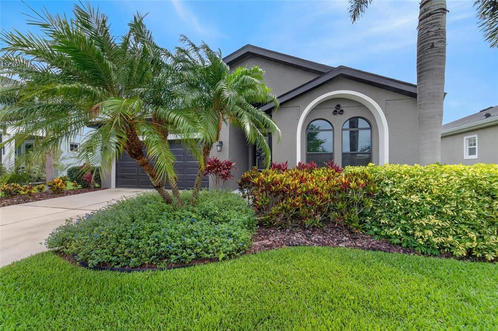 A gray single-story house features a palm tree, manicured landscaping, and an arched window — 7020 OLD BENTON DRIVE, APOLLO BEACH, FL