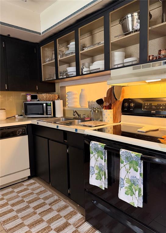 533 CASCADE CIRCLE UNIT 103, CASSELBERRY, FL — photo 5 of 21