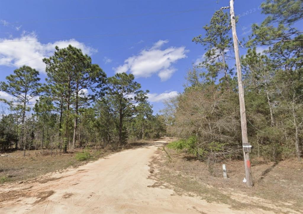 A dirt road winds through a wooded area under a clear blue sky — ROYAL WAY, INTERLACHEN, FL