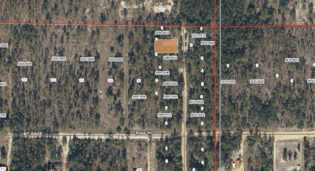 This is an aerial map showing a rectangular plot of land highlighted in orange — ROYAL WAY, INTERLACHEN, FL