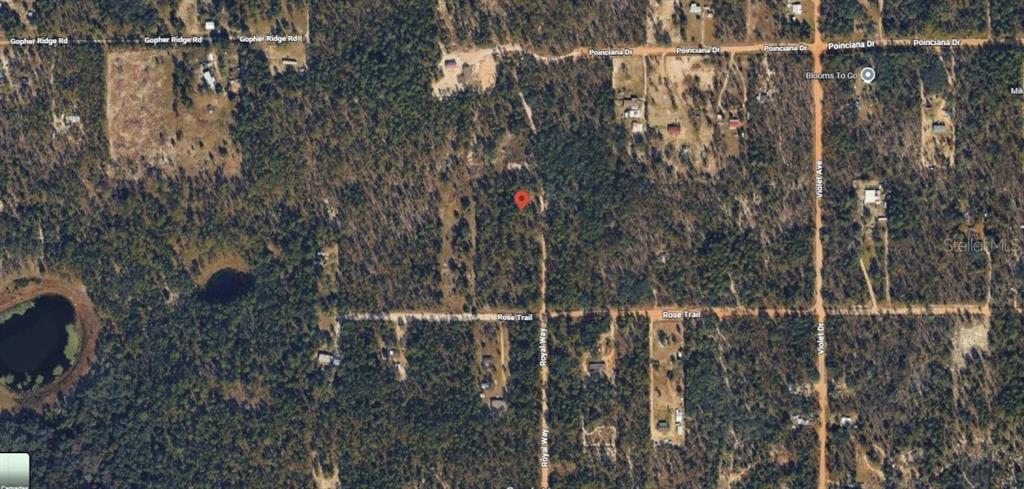This is an aerial map view showing a wooded lot marked with a red pin — ROYAL WAY, INTERLACHEN, FL