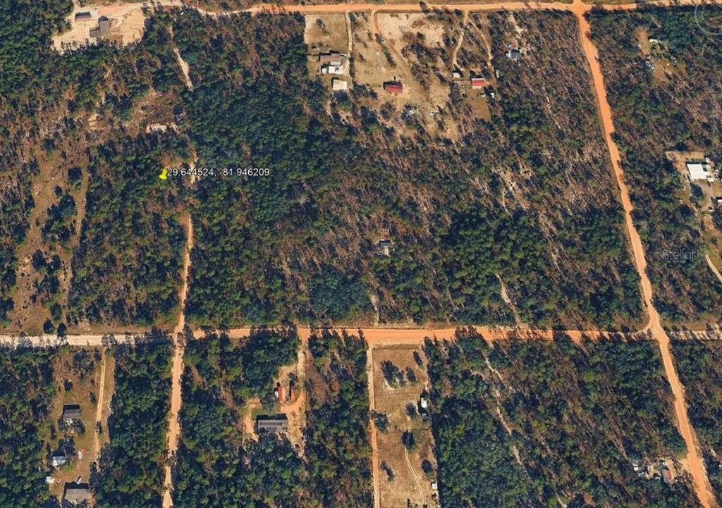 An aerial view shows a wooded, undeveloped plot of land with dirt roads — ROYAL WAY, INTERLACHEN, FL