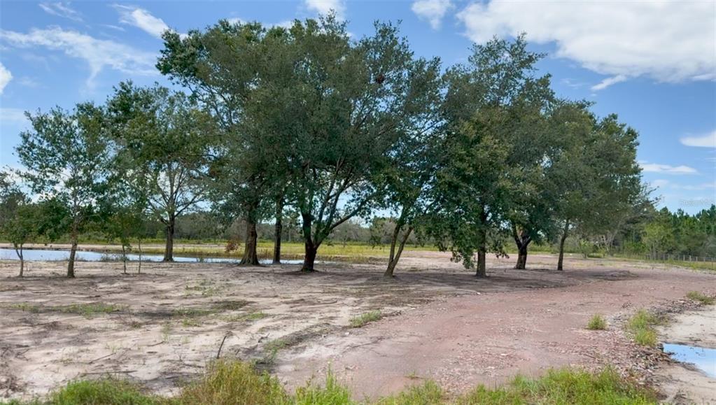 0 HWY 60 E, LAKE WALES, FL — photo 5 of 14