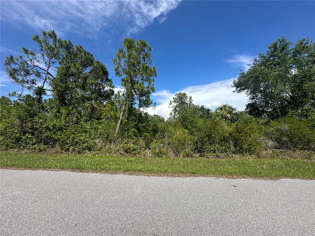 A view of a vacant, wooded lot from an adjacent paved road — 2392 SALERNO STREET, PORT CHARLOTTE, FL