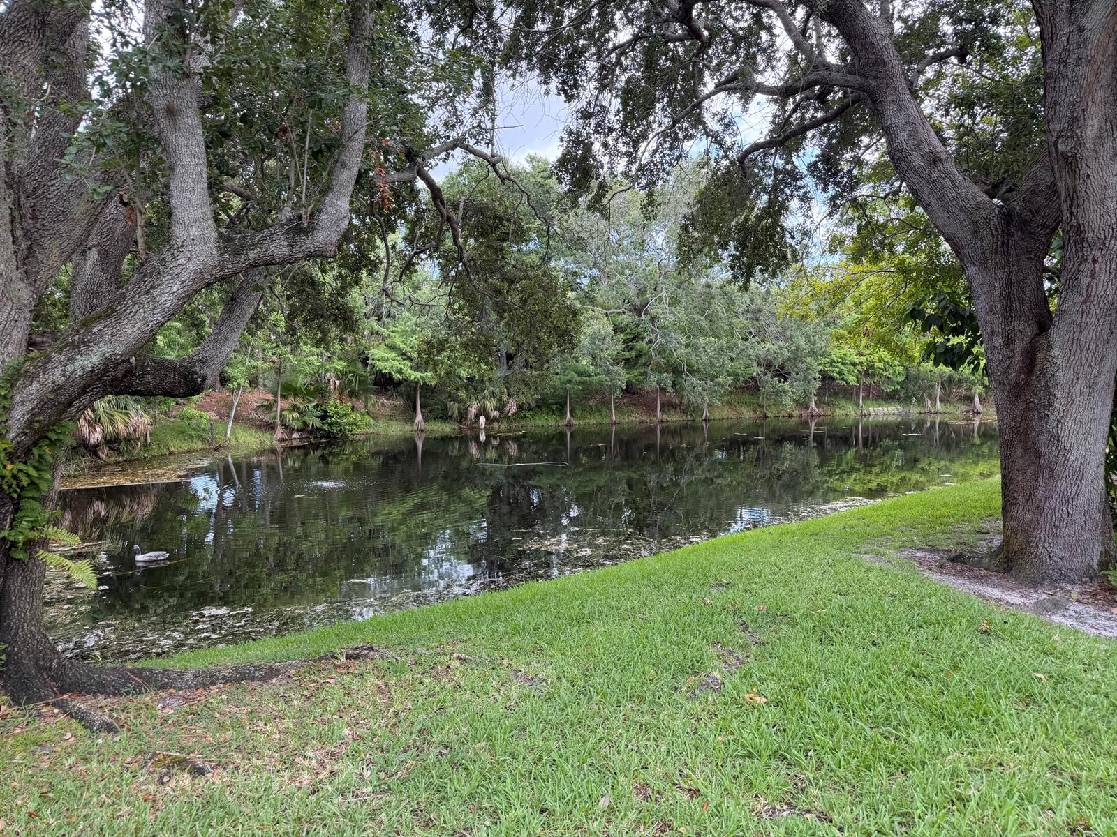 A pond surrounded by lush green grass and large trees under a cloudy sky — 212 Harbour Pointe Way, FL 33413, FL