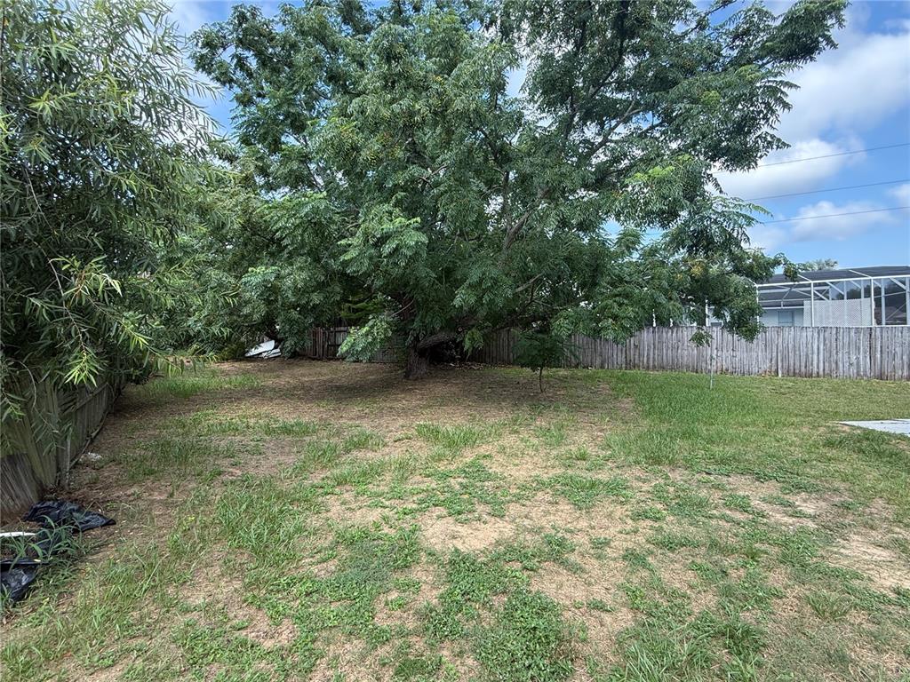 A large tree stands in the center of a grassy backyard enclosed by a wooden fence — 7425 VILLAS OAK COURT, ORLANDO, FL