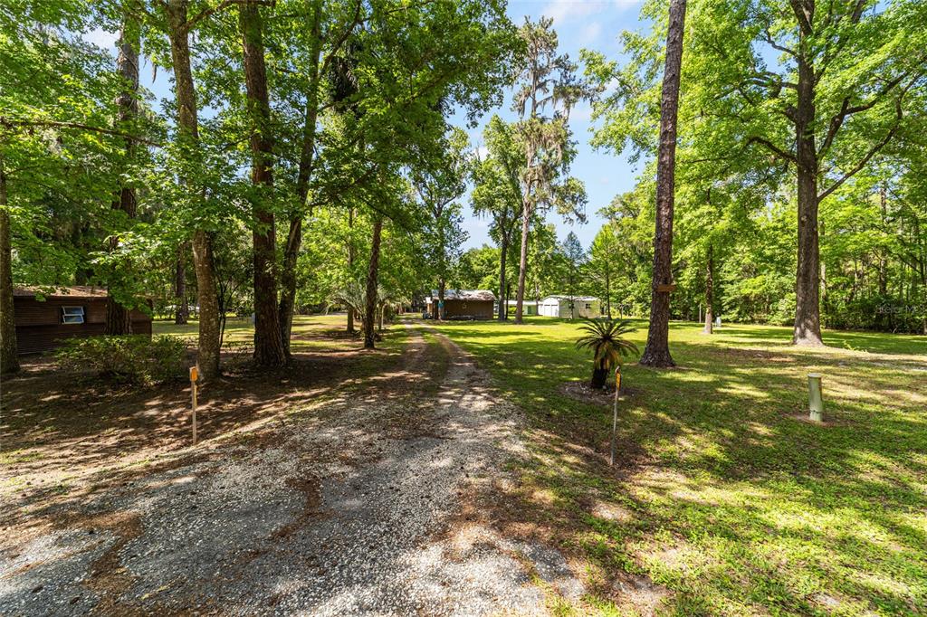 A gravel driveway leads through a wooded lot toward a small house and outbuilding — 11144 SW 190TH AVENUE, DUNNELLON, FL