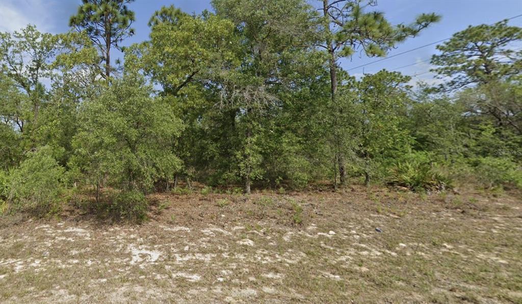 A vacant, wooded lot features sandy ground and a variety of pine and oak trees — 6791 DARLINGTON DRIVE, CITRUS SPRINGS, FL