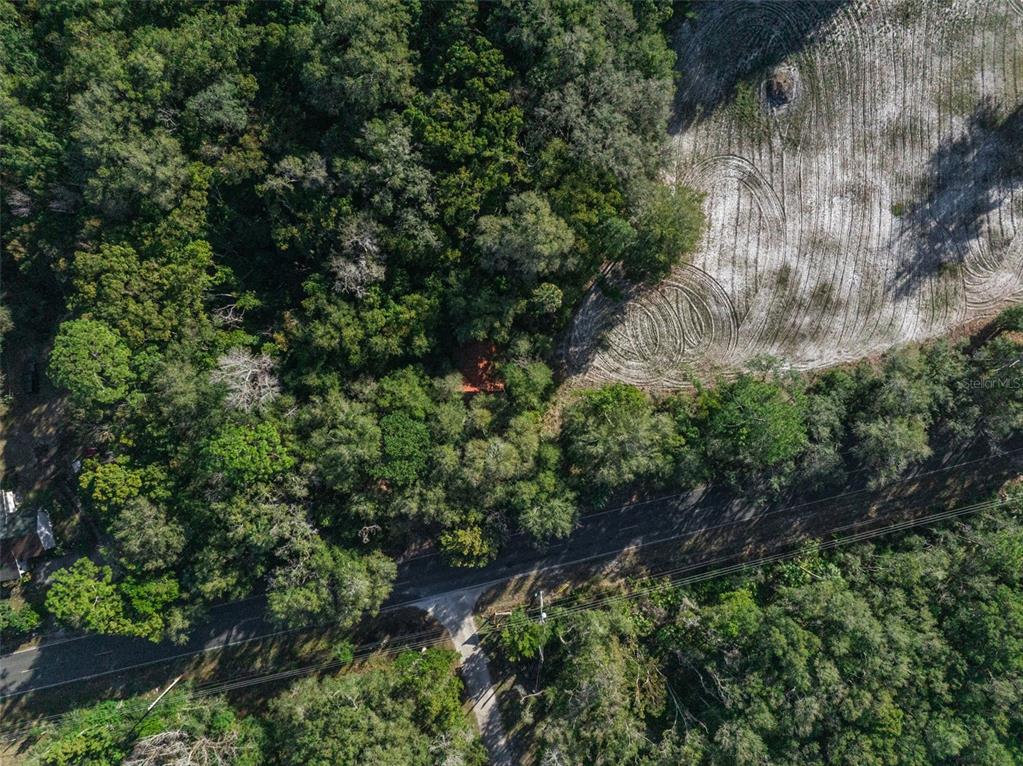 An aerial view shows a house nestled in a dense forest next to a cleared field — 589 S VOLUSIA AVENUE, PIERSON, FL