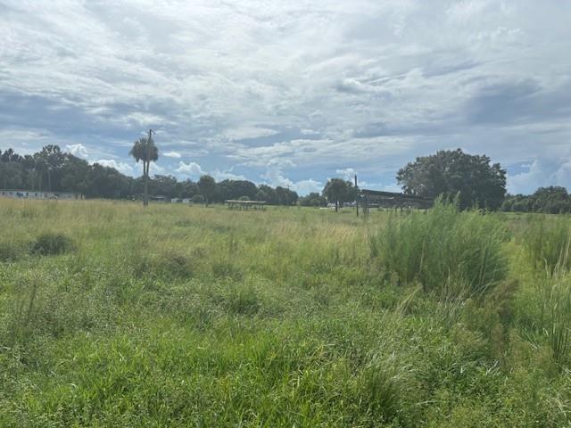 A large, grassy, undeveloped field under a cloudy sky with distant trees and structures — 1202 NW 8th Avenue, Okeechobee FL 34972, OKEECHOBEE, FL