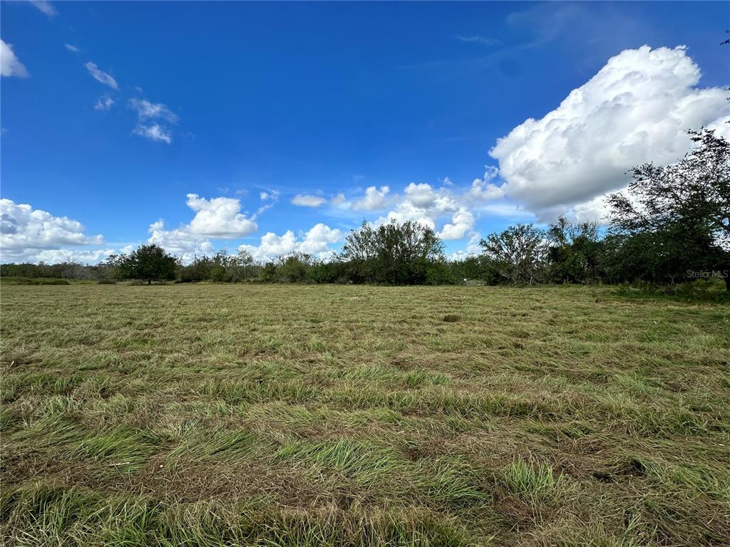 A wide, grassy field under a bright blue sky with scattered clouds and distant trees — WAUCHULA ROAD, MYAKKA CITY, FL