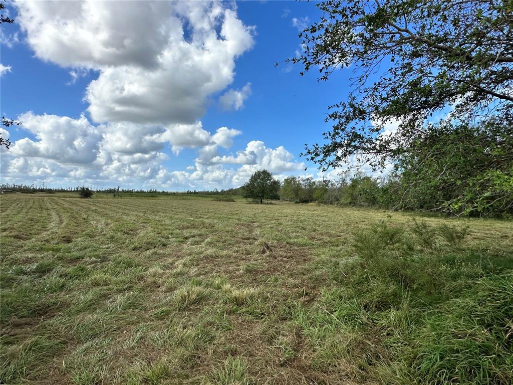 A wide, grassy field under a bright blue sky with scattered white clouds — WAUCHULA ROAD, MYAKKA CITY, FL