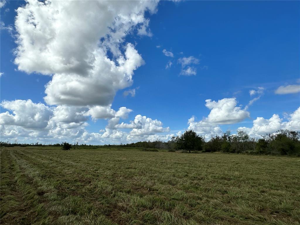 A wide, grassy field under a bright blue sky with scattered white clouds — WAUCHULA ROAD, MYAKKA CITY, FL