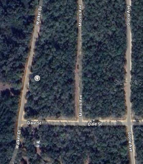 00 WALKER DRIVE, INTERLACHEN, FL — photo 2 of 5