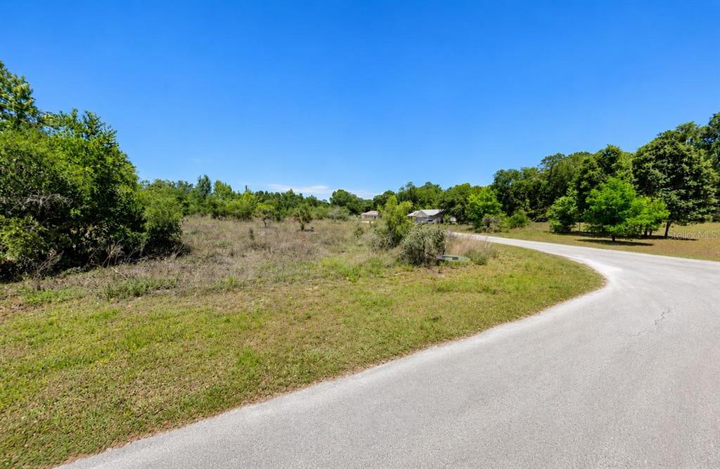 A paved road curves past a vacant, grassy lot with scattered trees and shrubs — SW 82ND PL, DUNNELLON, FL