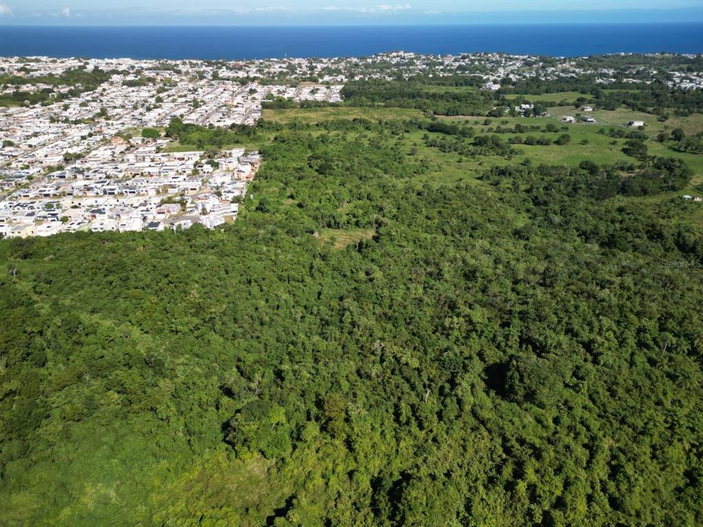 An aerial view shows a large, dense forest bordering a residential neighborhood and the ocean — MASIONES DEL ATLANTICO, ISABELA, PR