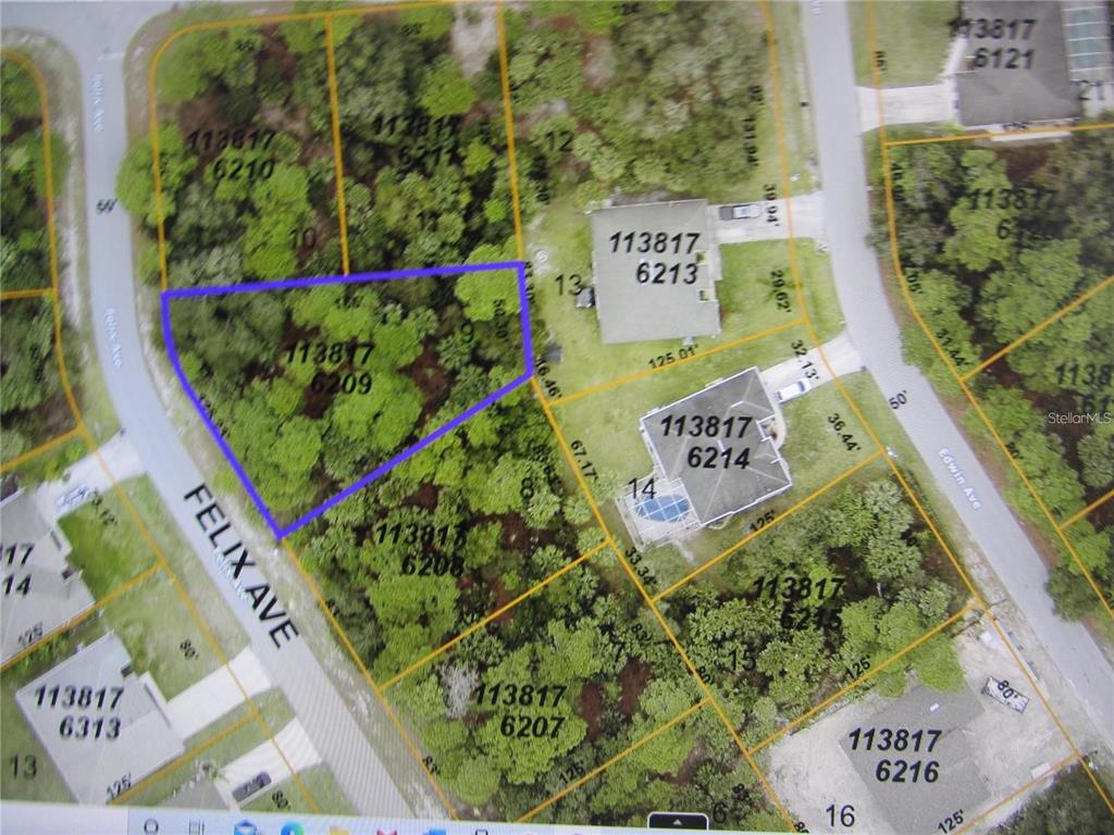 This is a map showing property lot lines and parcel numbers for a residential neighborhood — FELIX AVENUE, NORTH PORT, FL