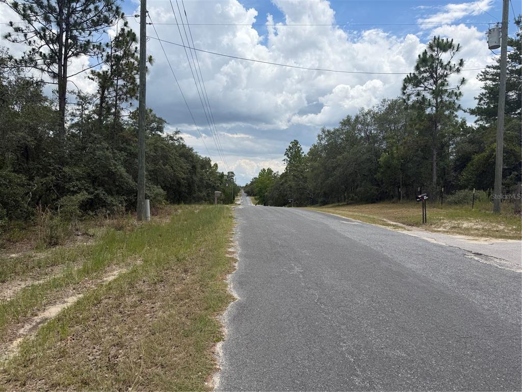 A paved road stretches into the distance between wooded areas under a cloudy sky — 6215 S PREMIERE AVENUE, HOMOSASSA, FL