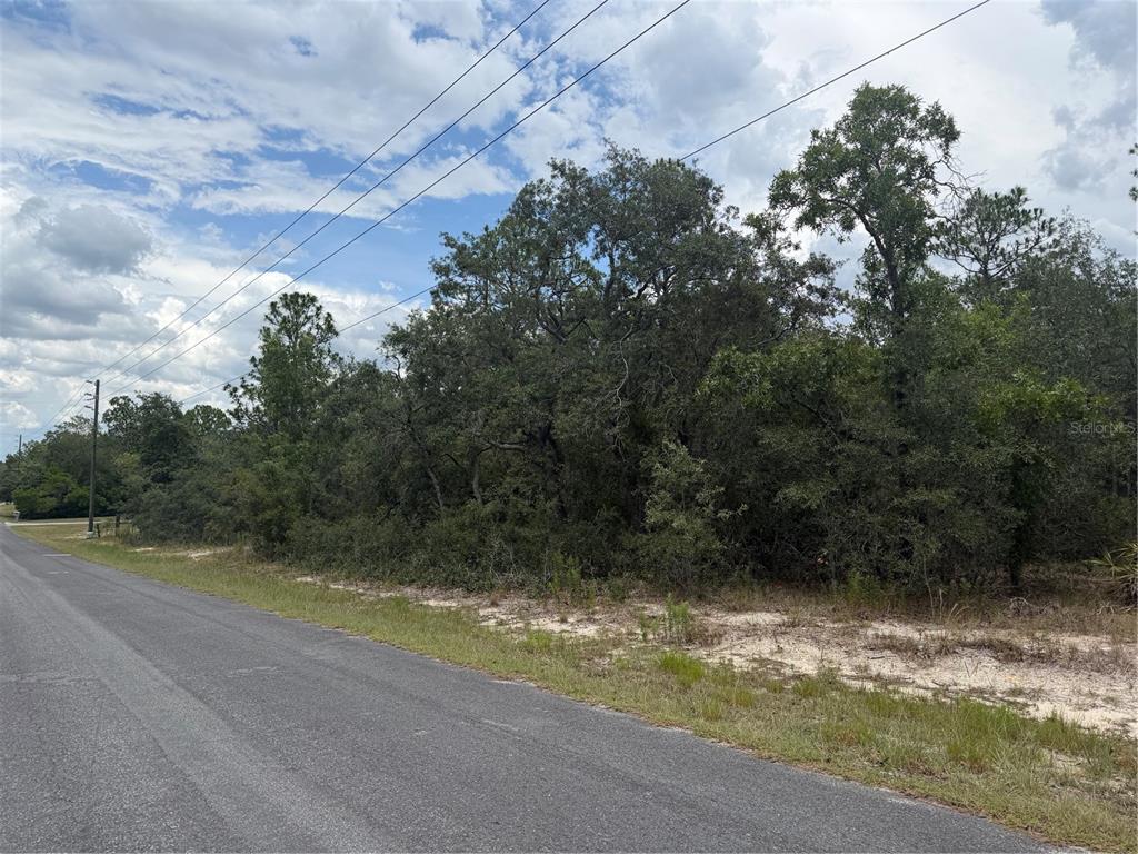 A paved road runs alongside a wooded, undeveloped lot under a cloudy sky — 6215 S PREMIERE AVENUE, HOMOSASSA, FL