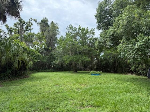 A grassy backyard features mature trees, dense foliage, and a small blue plastic pool — 104 E ROSEHILL AVE, DELAND, FL