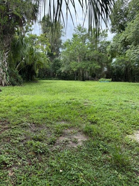 A grassy, open lot surrounded by mature trees and dense vegetation — 104 E ROSEHILL AVE, DELAND, FL