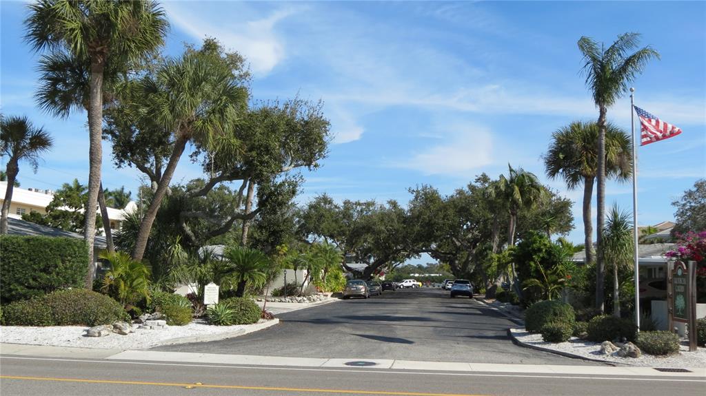 A paved road leads into a residential community lined with palm trees and oak trees — 6005 MIDNIGHT PASS ROAD UNIT N4, SARASOTA, FL