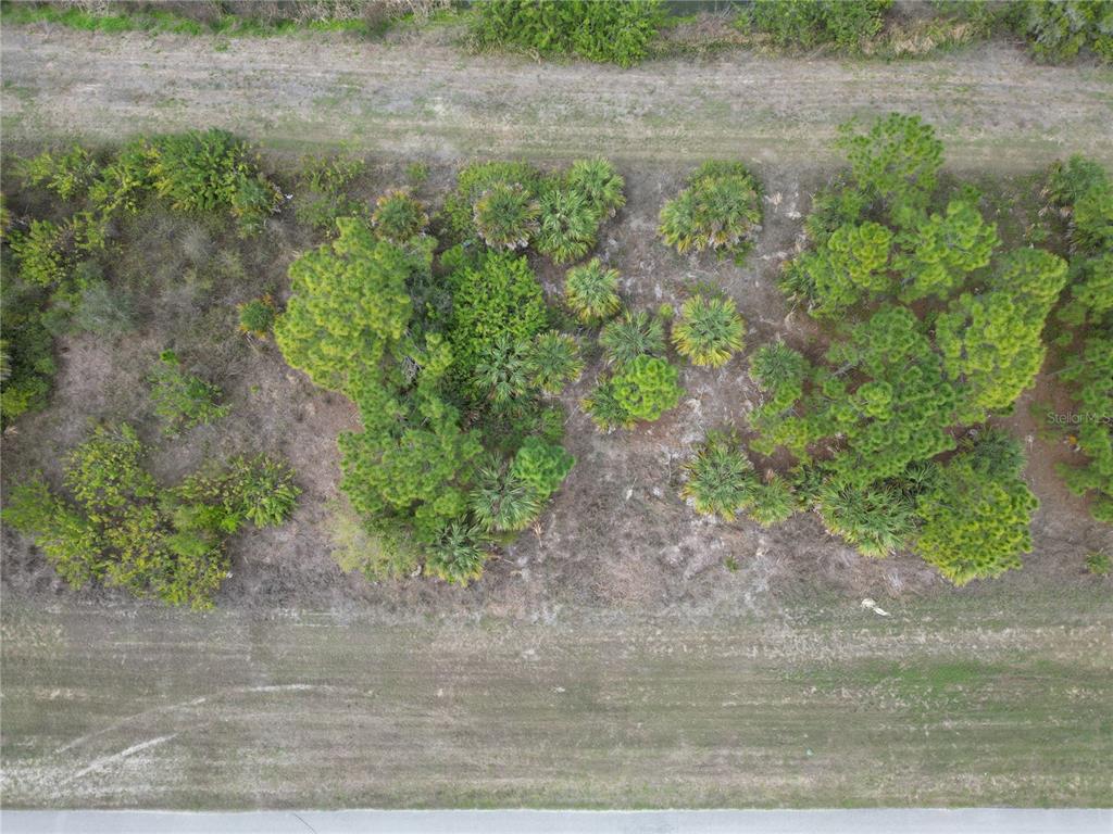 An aerial view shows a wooded lot with scattered trees and shrubs between two grassy areas — S RAINTREE BOULEVARD, NORTH PORT, FL