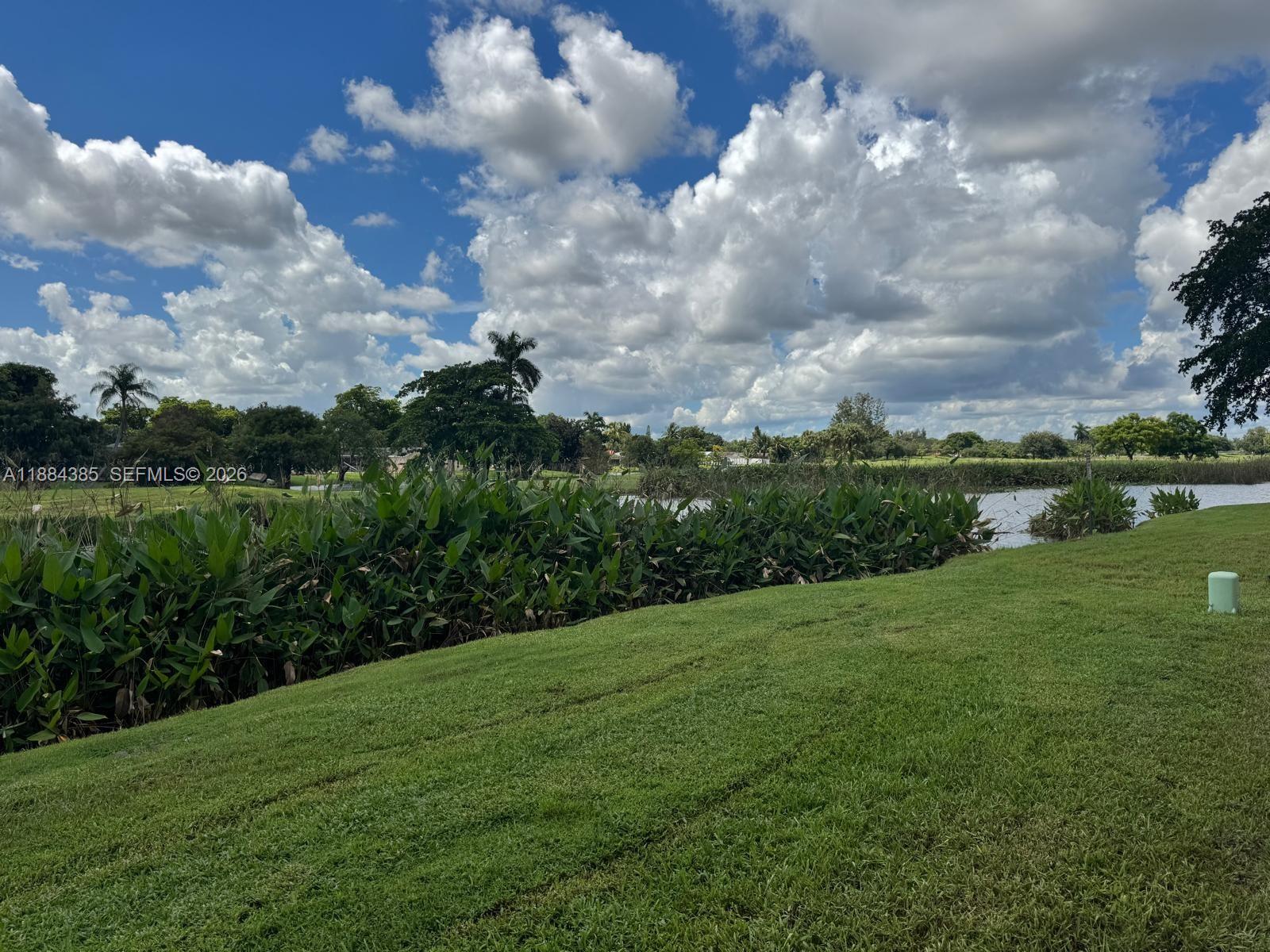 A grassy lawn slopes down toward a pond bordered by tall green aquatic plants — 2471 SW 82nd Ave # 108, Davie FL 33324, DAVIE, FL