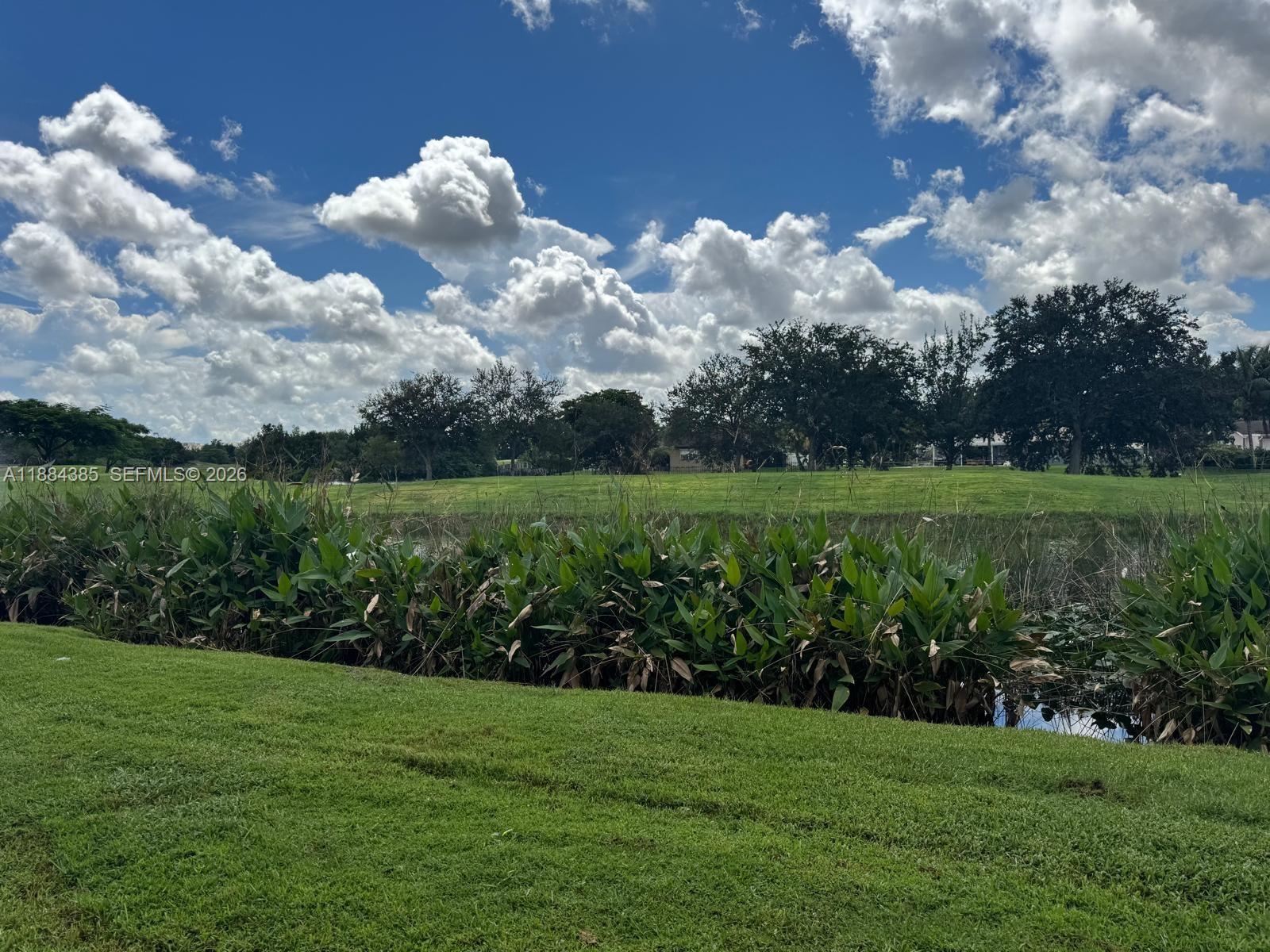 A grassy lawn overlooks a pond with aquatic plants and trees under a cloudy sky — 2471 SW 82nd Ave # 108, Davie FL 33324, DAVIE, FL