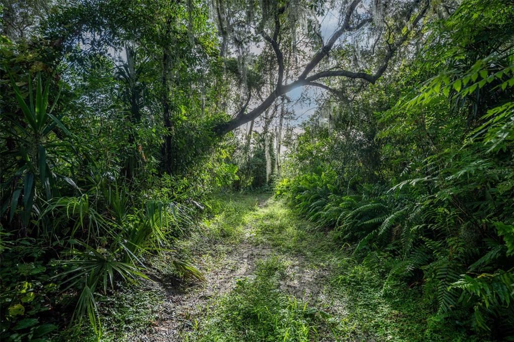 2163 VAN ORMAN DRIVE, DELTONA, FL — photo 5 of 27