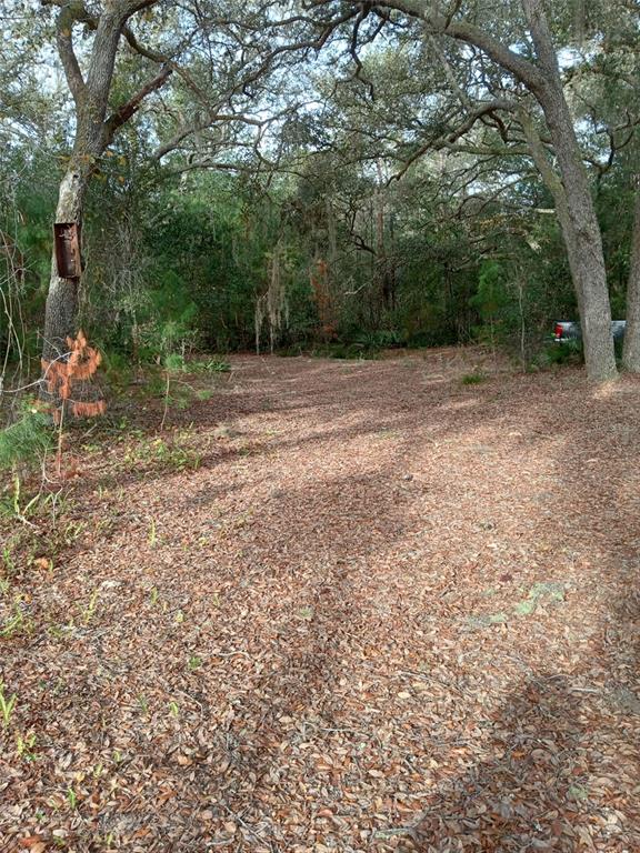 A wooded, leaf-covered lot features large oak trees and a glimpse of a parked vehicle — 28093 SE HIGHWAY 42, UMATILLA, FL