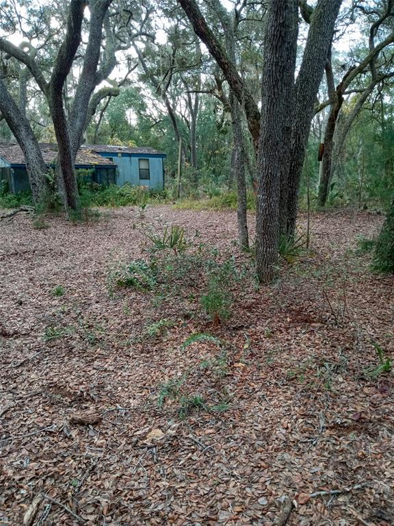 A blue mobile home sits in a wooded lot covered with fallen leaves — 28093 SE HIGHWAY 42, UMATILLA, FL