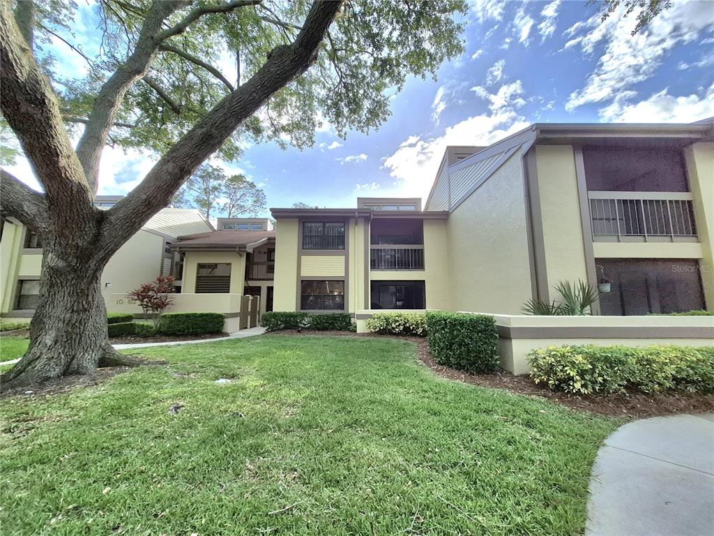 A two-story apartment building with yellow siding, a large tree, and a grassy lawn — 50 WOODLAKE PLACE UNIT 50, OLDSMAR, FL
