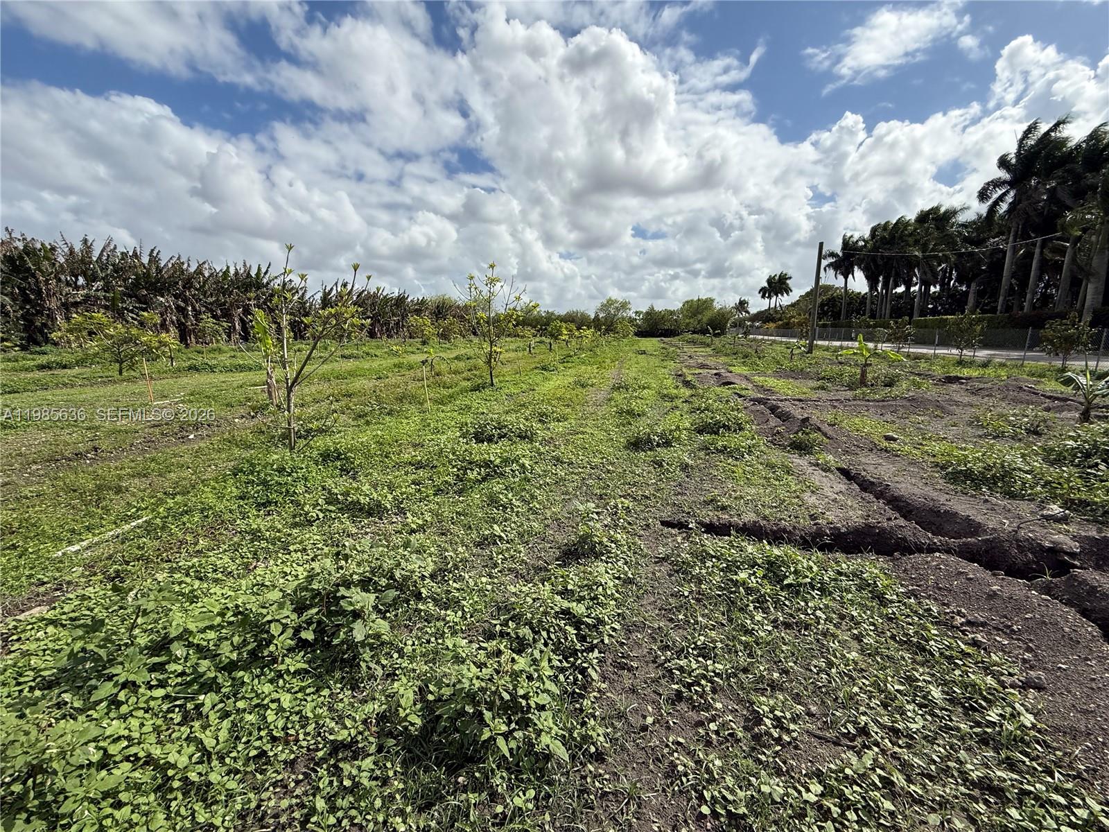 A wide, grassy field with young trees and a dirt path under a cloudy sky — 16455 SW 207, Miami FL 33187, MIAMI, FL