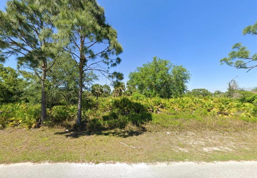 A vacant, wooded lot with pine trees and palmetto bushes borders a paved road — 12166 ASHLEY AVENUE, PORT CHARLOTTE, FL
