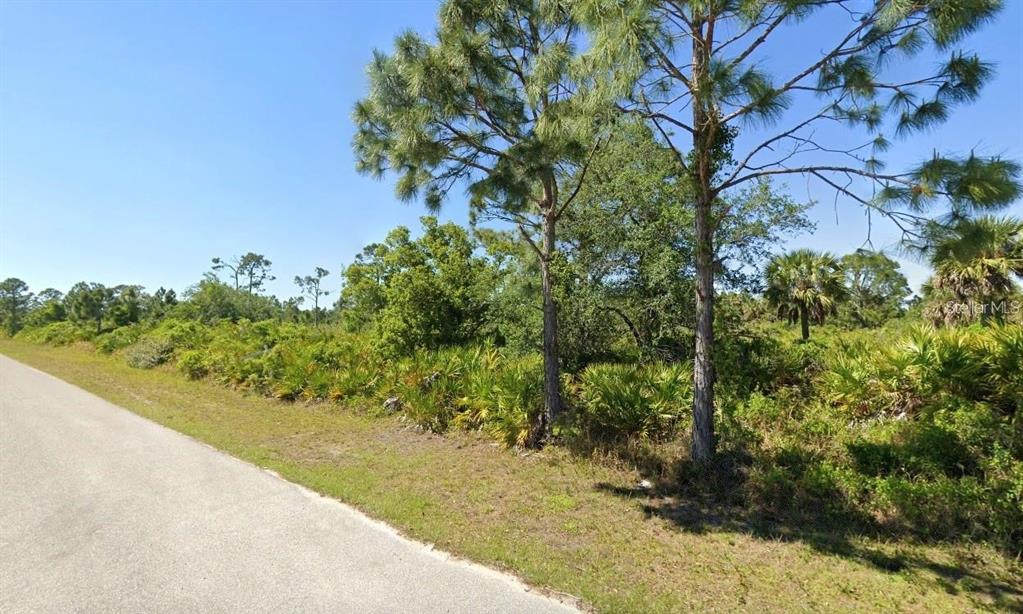 A paved road runs alongside a vacant, wooded lot filled with pine trees and palmettos — 12166 ASHLEY AVENUE, PORT CHARLOTTE, FL