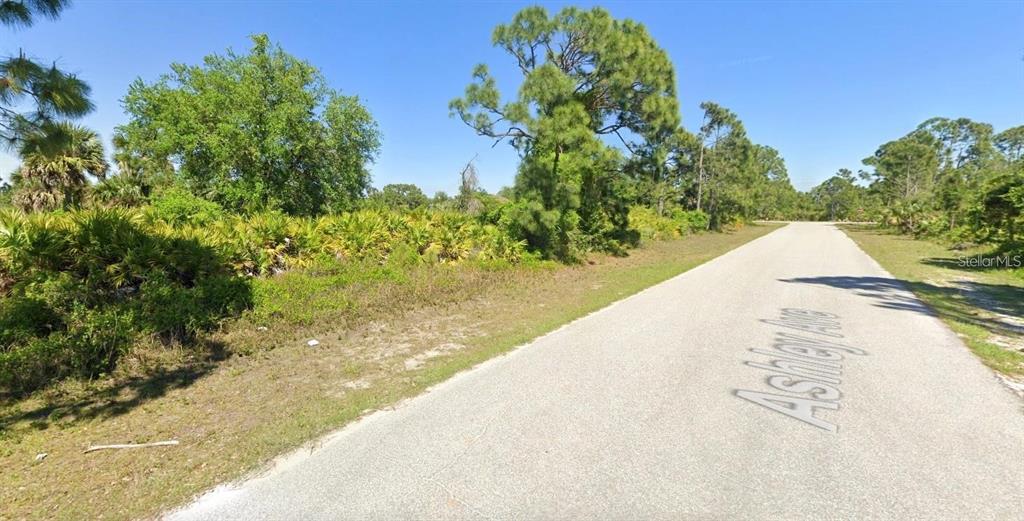 A paved road runs alongside a vacant, wooded lot with dense vegetation and pine trees — 12166 ASHLEY AVENUE, PORT CHARLOTTE, FL