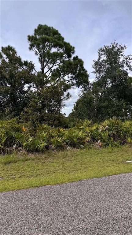 A paved road runs in front of a wooded lot with trees and palmetto bushes — 12166 ASHLEY AVENUE, PORT CHARLOTTE, FL