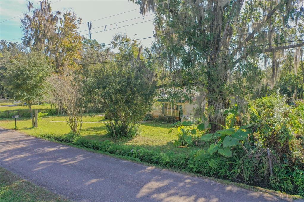 A small, weathered house sits behind trees and overgrown vegetation next to a paved road — 3346 STRICKLAND ROAD, LAKELAND, FL