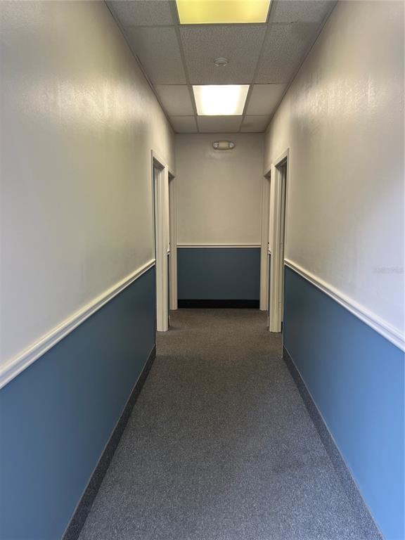A narrow hallway features gray carpet, blue wainscoting, white walls, and a drop ceiling — 1173 SPRING CENTRE SOUTH BOULEVARD UNIT A, ALTAMONTE SPRINGS, FL