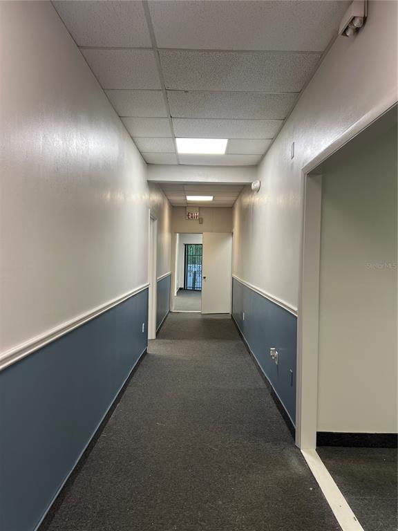 A narrow office hallway features gray carpet, blue wainscoting, white walls, and a drop ceiling — 1173 SPRING CENTRE SOUTH BOULEVARD UNIT A, ALTAMONTE SPRINGS, FL