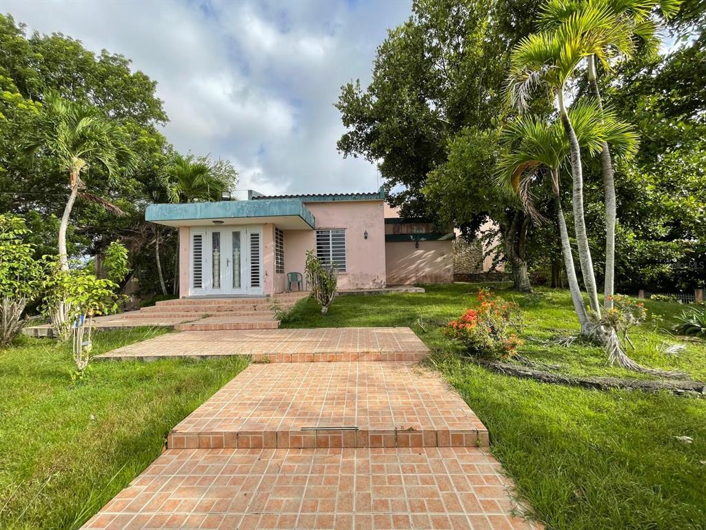A pink single-story house with a tiled walkway and palm trees in the front yard — PR-115 KM 19.8 INT, AGUADA, PR