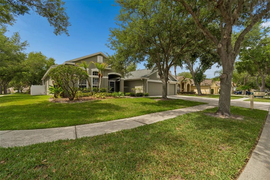 A single-story house with a green exterior, a two-car garage, and a landscaped front yard — 10243 SHADOW BRANCH DRIVE, TAMPA, FL