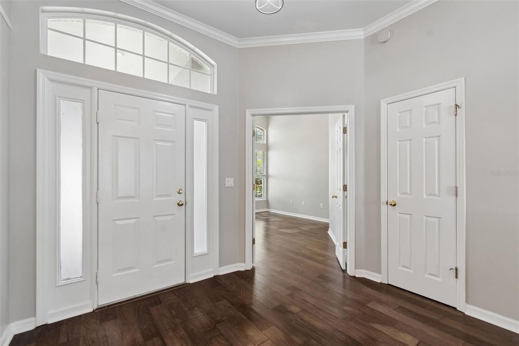 An entryway with dark wood floors, a white front door with sidelights, and an arched transom — 10243 SHADOW BRANCH DRIVE, TAMPA, FL