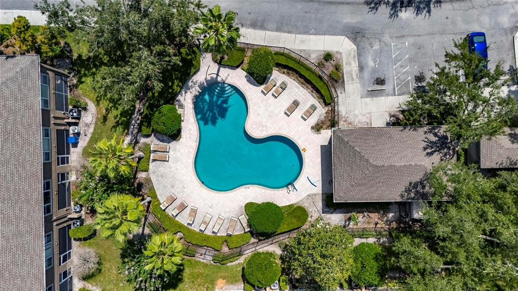 9831 BLUE PALM WAY, TAMPA, FL — photo 3 of 30