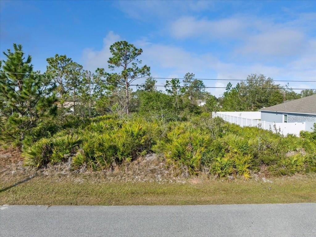 A vacant, overgrown residential lot with trees and a white fence on the right — 10 ROCKING LN, PALM COAST, FL